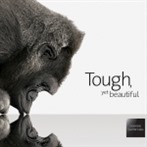 Vydrží i to nejtvrdší zacházení. Nové Gorilla Glass 6 je nejodolnějším sklem, které kdy Corning vyrobil 